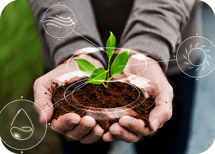 How to earn from the Orvos Ecosystem