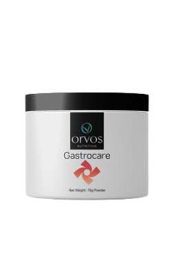 Gastro Shaman